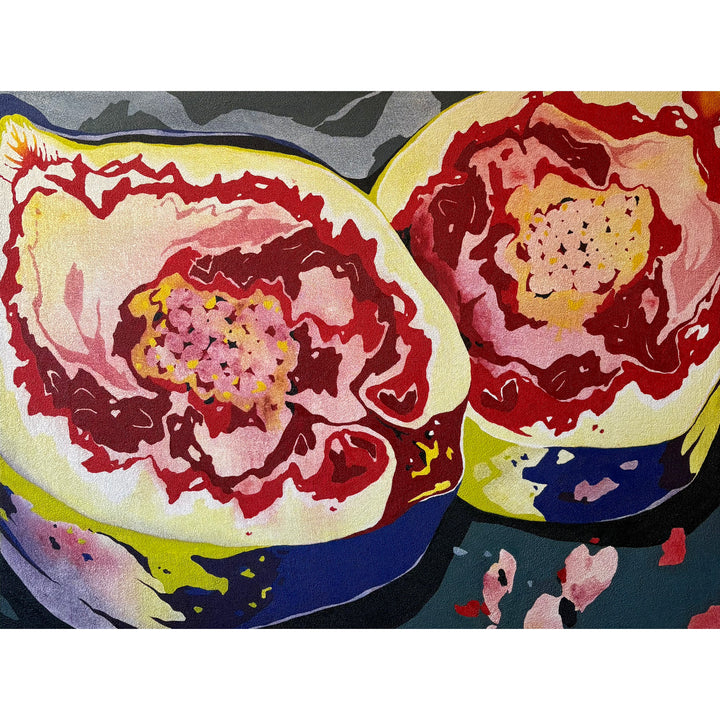 abstract organic shapes in red varying line weight fig fruit half with gradients of color and opaque hard edged shapes on pumice textured surface