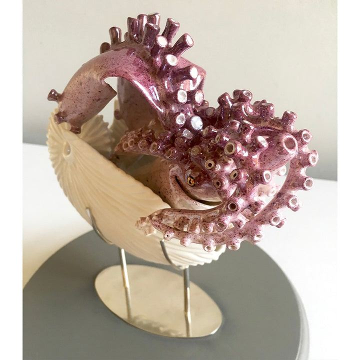 tentacle sea octopus purple shiny ceramic coming out of shell shape white