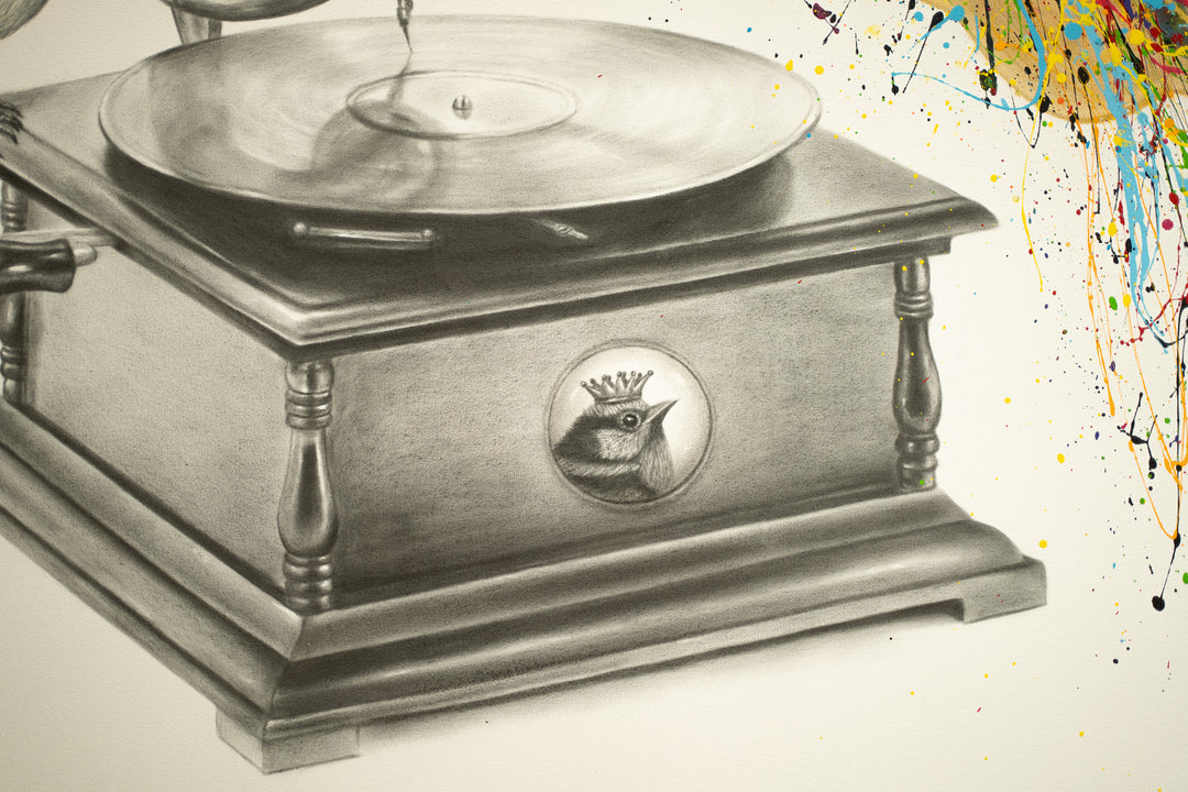 Gramophone with bird paint splatter out of speaker expressionism multicolor black and white realism on white background