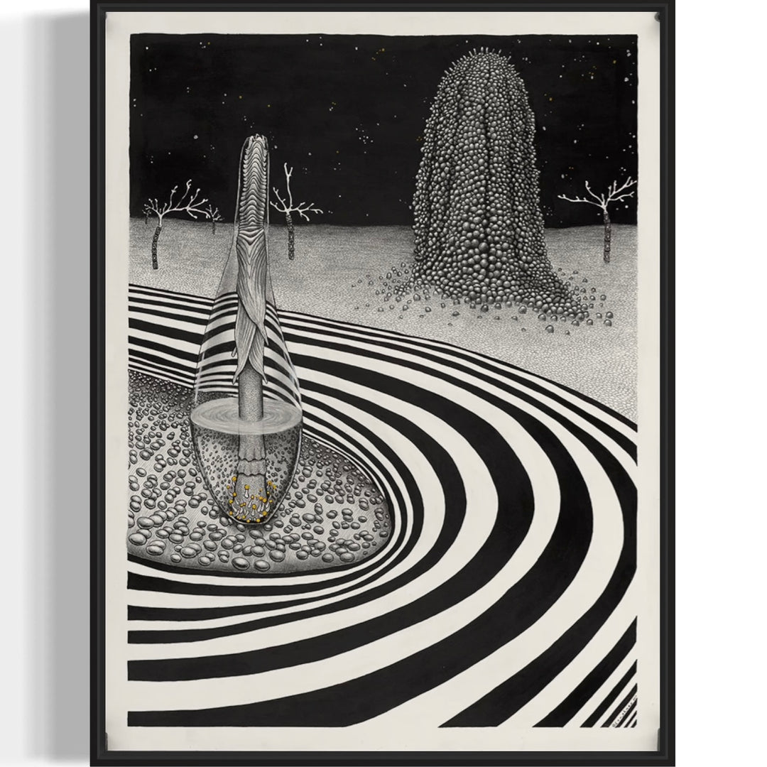 surreal landscape in black and white with trees sky and rings on ground 