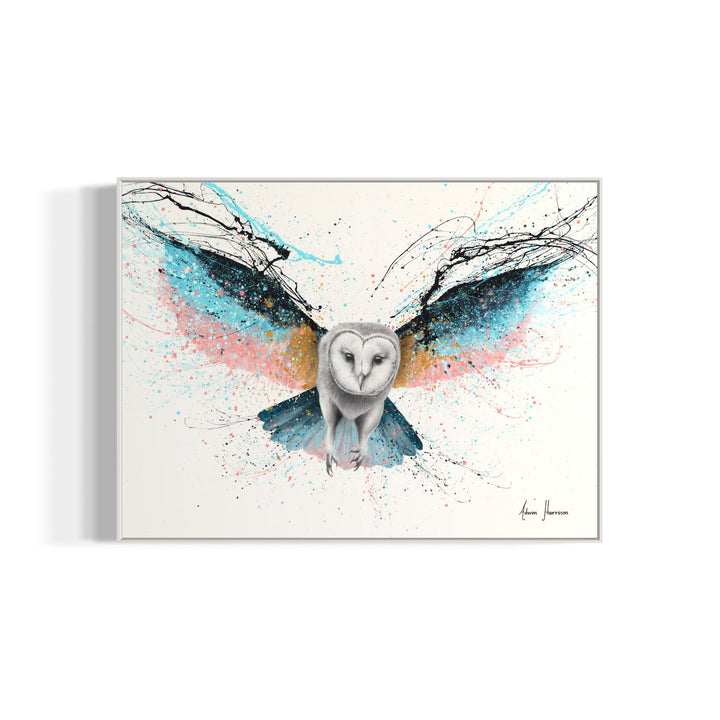 owl in black and white flying wings stretched out in blue pink and orange pastel color splatter paint on white background