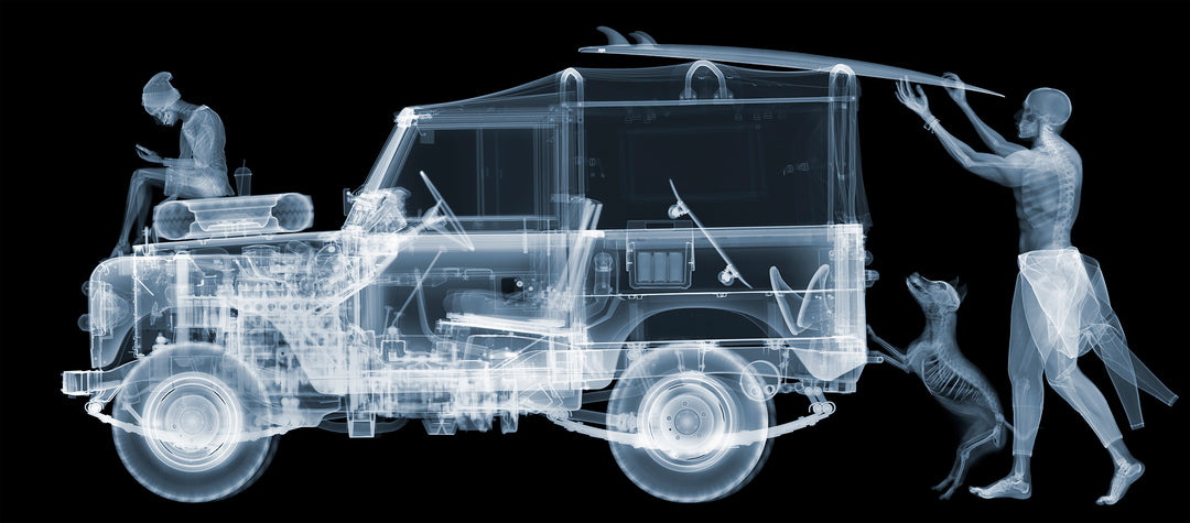 x-ray skeleton car mechanical dog surfboard skateboard on black background