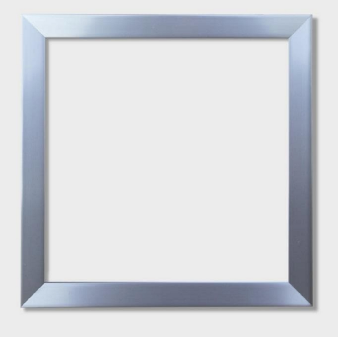 Silver Frame